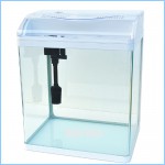 ��ǰ�̹���